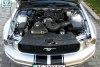 Ford Mustang  2007.  8