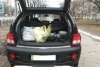 SsangYong Actyon Delux 2008.  6