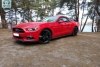 Ford Mustang EcoBoost 2015.  1