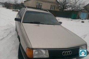 Audi 100  1989 704566