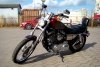 Harley-Davidson Sportster 1200 custom 2000.  11