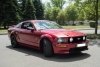 Ford Mustang GT 4.6L 2006.  13