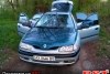 Renault Laguna  1995.  3