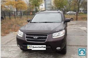 Hyundai Santa Fe  2007 736215