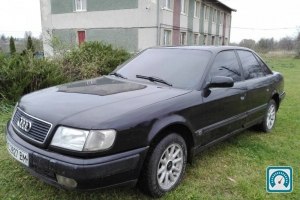 Audi 100  1994 738783