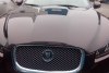 Jaguar XF  2012.  1