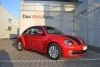 Volkswagen Beetle summer life 2016.  3