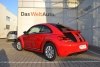 Volkswagen Beetle summer life 2016.  7