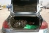 Peugeot 407  2004. ���� 6