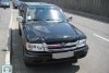 Great Wall Deer  2007. ���� 1