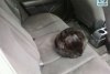 Nissan Tiida  2008. ���� 4