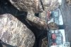 Chevrolet Niva  2011. ���� 6