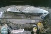 Daewoo Lanos  2008. ���� 3