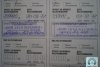 Nissan Primera P12 2003. ���� 11