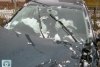 Volkswagen Bora  2000. ���� 2