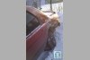 Ford Sierra  1988. ���� 8
