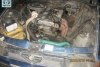 Alfa Romeo 75  1989. ���� 6