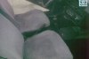 ��� 1102 ������  1994. ���� 5