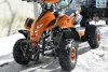 Nitro DRAGON II  50 2012.  1