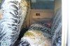 Great Wall Deer Deer J 3 2005. ���� 3