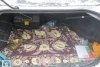 Chrysler Sebring  2001. ���� 5
