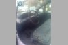Citroen Jumpy comfort 2001. ���� 3