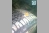 Citroen Jumpy comfort 2001. ���� 8