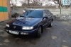 Volkswagen Passat B4 1995. ���� 8