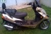 Viper F1  2008. Фото 1