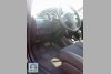 Nissan Tiida GLX 2009. ���� 8