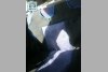 Fiat Punto  1999. ���� 11