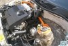 ��� ������ �����  2009. ���� 5