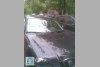 SEAT Cordoba  2008. ���� 1