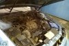 Ford Taurus  1995. ���� 6