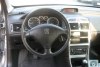 Peugeot 307  2005. ���� 10
