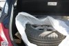 Opel Corsa  2007. ���� 4