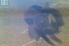 Chevrolet Aveo  2005. ���� 8
