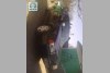 Volvo 460  1990. ���� 3