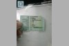 Volkswagen Golf  2011. ���� 7