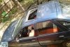 Ford Escort  1995. ���� 2