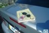 Ford Focus  2000. ���� 12