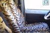 Renault Trafic  1997. ���� 5