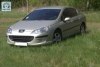 Peugeot 407  2004. ���� 3
