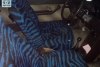 Fiat Regata  1988. ���� 6