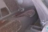 Opel Tigra  1995. ���� 8