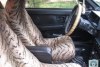 ��� 2108  1987. ���� 6