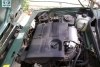 ��� ������-����  2006. ���� 8