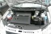 Volkswagen Polo  2006. ���� 7