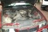 BMW 3 Series  1992. ���� 6