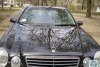Mercedes E-Class avangard 2000. ���� 2